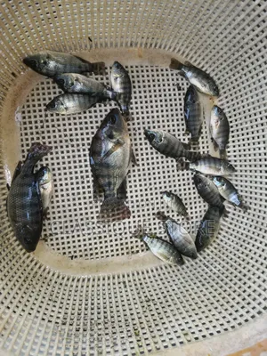 179651158_MzAwLTQwMC04ODYzN2EwNTUz